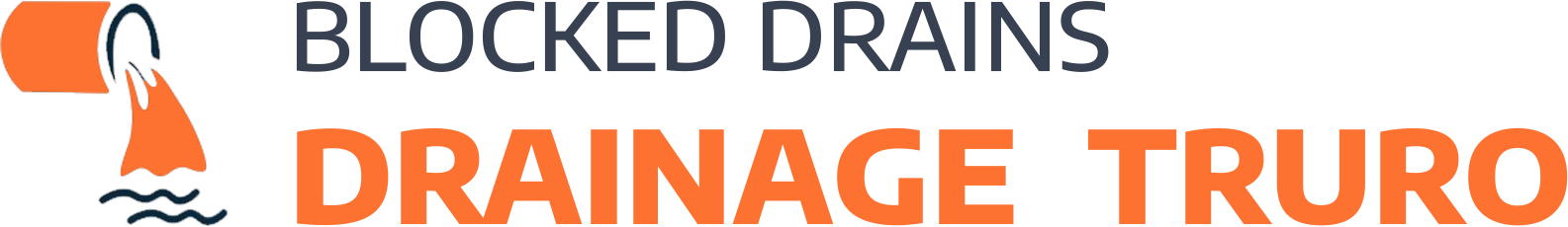 website logo